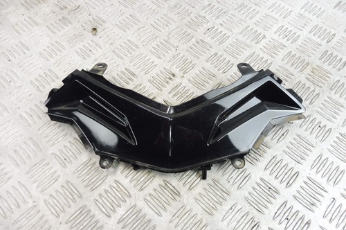 Kawasaki 300 ninja hidden - 300,