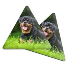 2x Triangle Coaster -