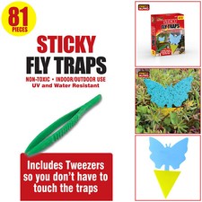81pc Sticky Glue Fly Traps