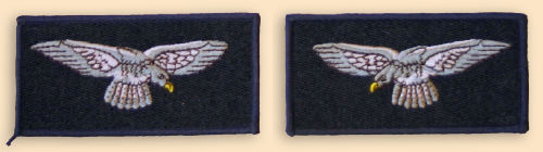 Raf arm badge eagles - badge,, /