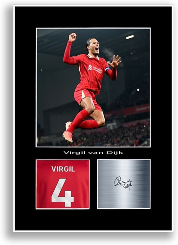 Virgil van dijk - virgil,