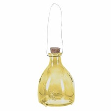 Glass Wasp Trap Hanging Fly