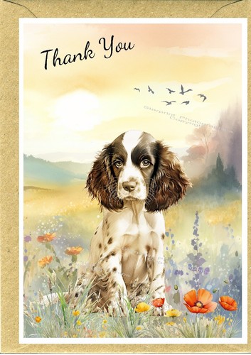 English springer spaniel dog - english,