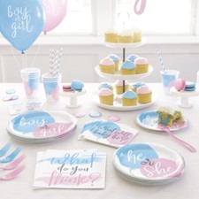 Gender Reveal Party Supplies