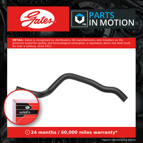 Radiator hose lower - radiator,