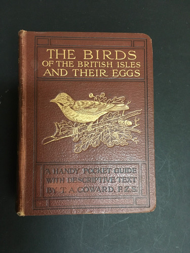 The birds - the, british