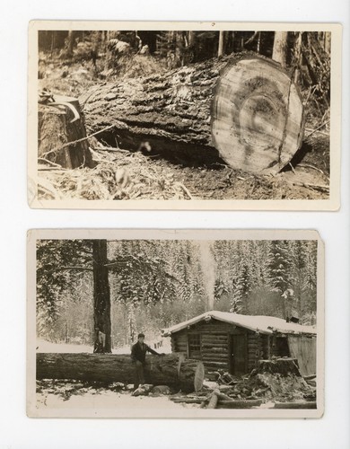 Forestry logging large - , &