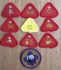 Cub Scout Profiency Badges