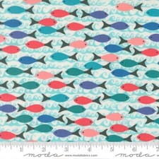 School fish aqua reef - of,