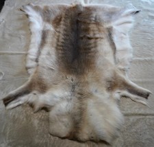 Reindeer Hide, Striking