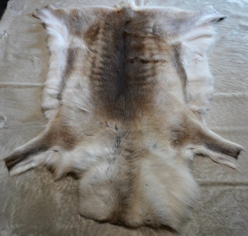 Reindeer hide striking - reindeer, hide,