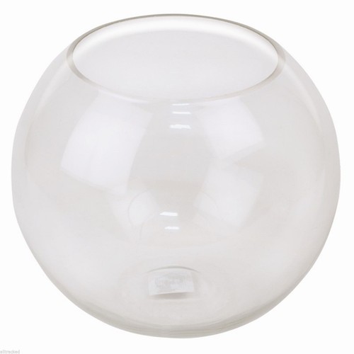 Large fish bowl bubble - fish,