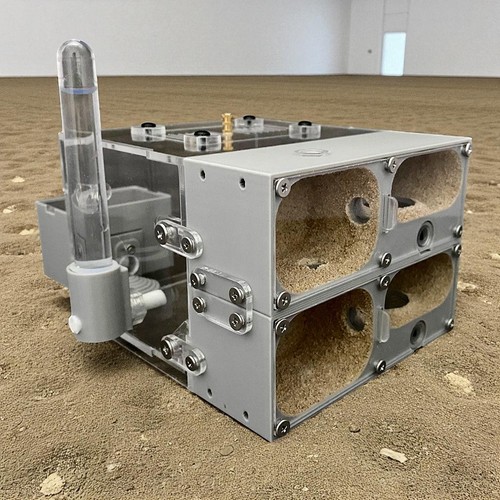 Valley ant farm 3d printed - ant,