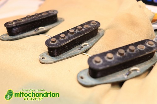 Fender stratocaster 1974 ash - stratocaster,