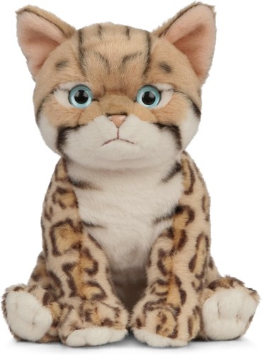 Living nature bengal kitten - living,