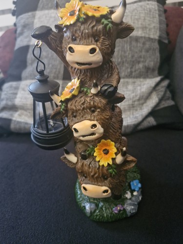 From the highland cow - the,