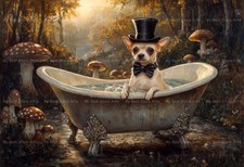 CHIHUAHUA BATHTUB ART PRINT
