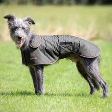 Digby & Fox Wax Greyhound Coat Dog Coat,  8 Sizes
