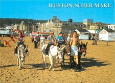 Picture Postcard> Weston Super Mare, Donkeys on the Sands [Salmon]