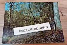 Bluebells at Balcombe - an