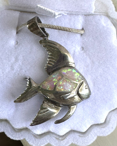 Pink fire opal angelfish - pink,