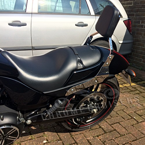 Passenger backrest sissy - passenger, backrest,