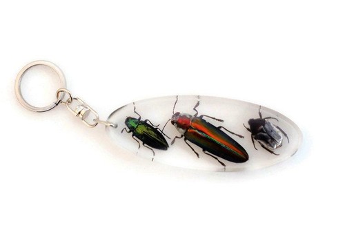 Jewel beetles keyring bugs - keyring,,
