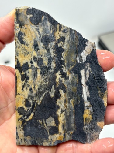 Roan leopard marble rough slab - rough,
