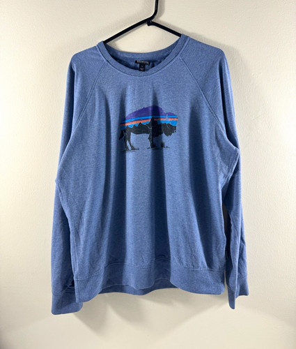 Patagonia blue graphic - , print