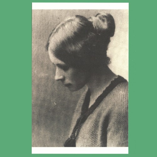 Postcard photograph of flora - postcard,