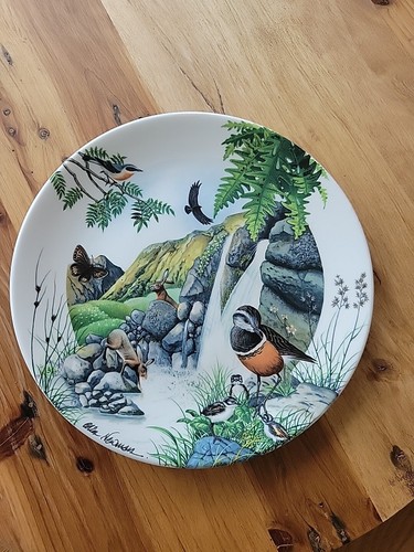 Wedgewood bone china plate - china, by