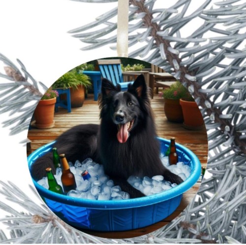 Belgian shepherd dog - belgian,