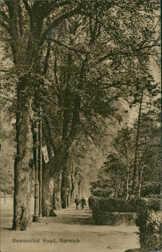 Postcard norwich newmarket - postcard,