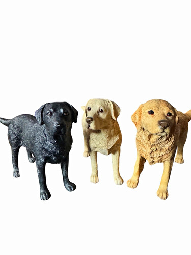 Labrador retriever dog - labrador,