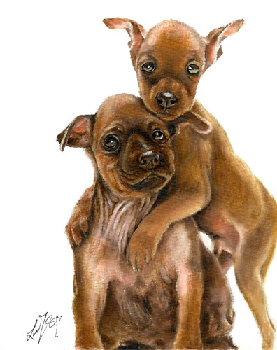 Original oil dog portrait - original,