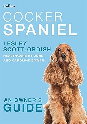 Cocker spaniel collins - spaniel, dog