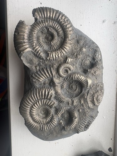 Heavily pyritized mulitple - heavily,