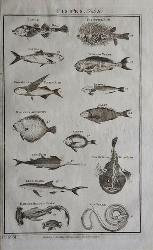 Rare large 1785 antique - rare,