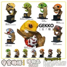 Pet Gekko Wall Lizard Reptilia