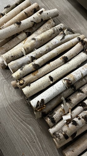 Silver birch logs - silver, 25cm
