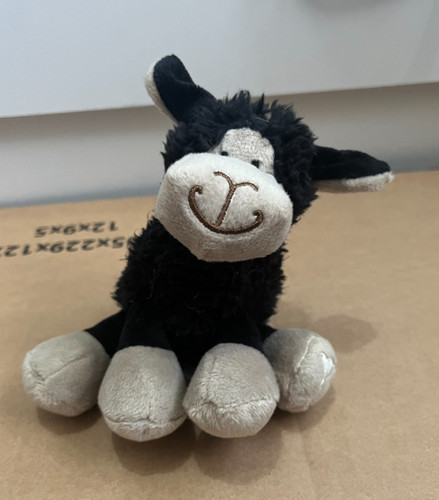 Jomanda black sheep lamb - black,