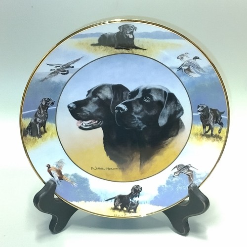 Labrador retriever plate the - labrador,