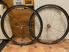 Chris King R45 NEON PINK Rim