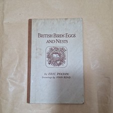 British Birds’ Eggs And