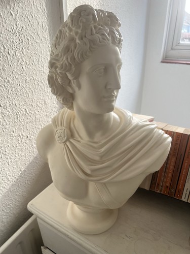 Apollo belvedere greek roman - belvedere,