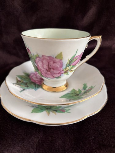 Roslyn wheatcroft roses - wheatcroft,