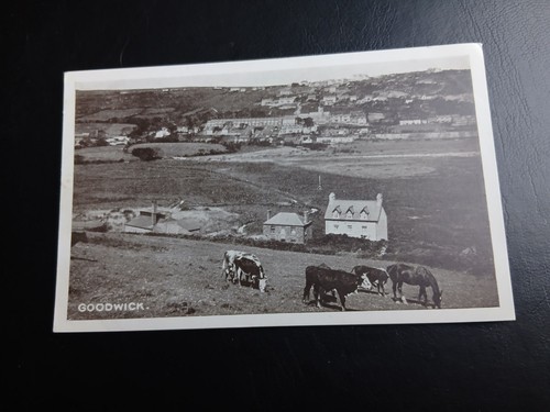 General view cattle - &,