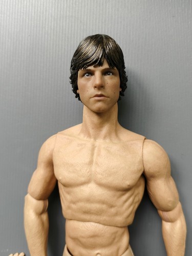 Scale luke skywalker head - 1/6,
