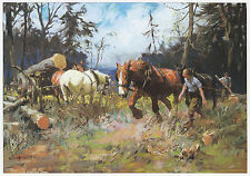 Shire horses hauling timber