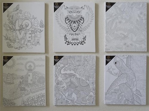 Colour canvas love owl - canvas, love,